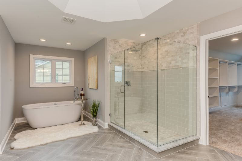 Walk-In Showers with Frameless Glass